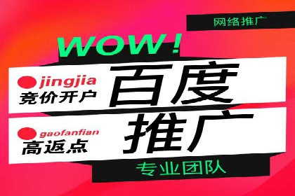 竞价账户优化：成功企业的广告策略揭秘